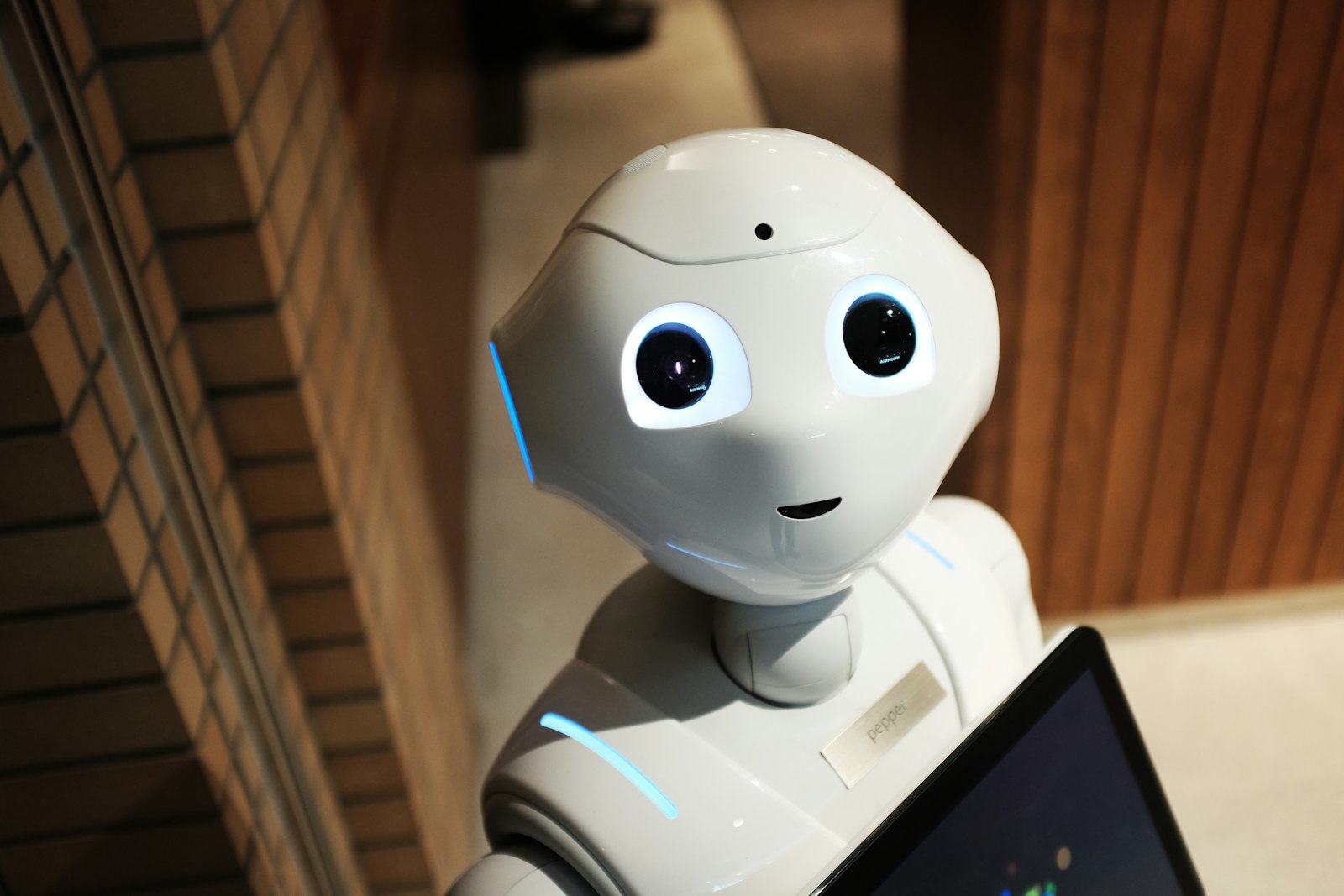 Advanced robotics division